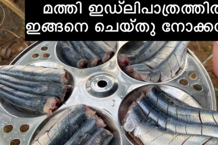 ഇത്ര കാലം മത്തി വാങ്ങിയിട്ടും 😳😳 ഈ ട്രിക് അറിയാതെ പോയല്ലോ.!! മത്തി ഇഡ്ലിപാത്രത്തിൽ ഇങ്ങനെയൊന്ന് ചെയ്തു നോക്കൂ 😋👌