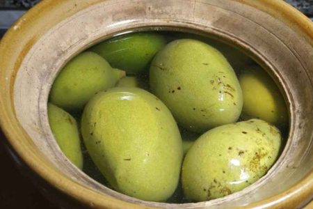 ഒരു വർഷം വരെ കേടാവാതിരിക്കാൻ ഉപ്പുമാങ്ങ ഈ രീതിയിൽ തയ്യാറാക്കി നോക്കൂ.😋👌 കൊതിയൂറും ഉപ്പുമാങ്ങ.!!