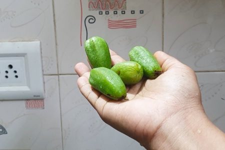 ഇരുമ്പൻ പുളി കൊണ്ട് ബാത്‌റൂമിലും കിച്ചണിലും ഇങ്ങനെ ചെയ്‌താൽ.!! മാസം 1000 രൂപ ലാഭം. | Irimbanpuli Bathroom And Kitchen Cleaning Tips