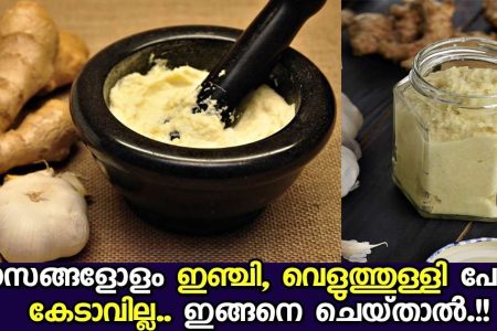 6 മാസത്തോളം ഇഞ്ചി,വെളുത്തുള്ളി പേസ്റ്റ് കേടുകൂടാതെ സൂക്ഷിക്കാൻ.!! ഇങ്ങനെ ചെയ്താൽ മതി.. ഇതാണ് ശരിയായ രീതി..