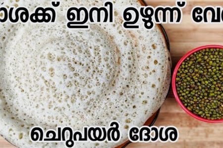 ദോശയുണ്ടാക്കാൻ ഉഴുന്നില്ലേ? എങ്കിലിതാ അടിപൊളി ചെറുപയർ ദോശ.!! ഹെൽത്തി ആയി ഈസിയായി. | Cheru Payar Dosha  Easy Recipe