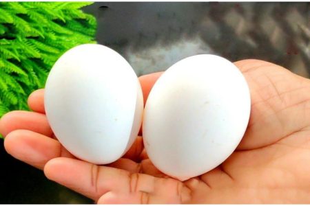 മുട്ട കൊണ്ട് എളുപ്പത്തിൽ തയ്യാറാക്കാവുന്ന ഒരു കിടിലൻ സ്നാക്ക് റെസിപ്പി! | Egg Evening Easy Snack