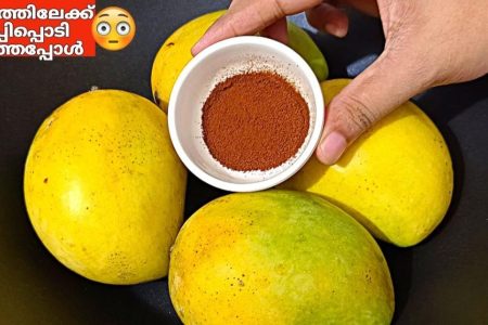ഒരിക്കലും നിങ്ങൾ ഇങ്ങനെ ചെയ്ത് നോക്കിയിട്ടുണ്ടാകില്ല; മാങ്ങാ വെച്ചൊരു അടിപൊളി ഡ്രിങ്ക്.!! | Mango Bubble Drink Recipe