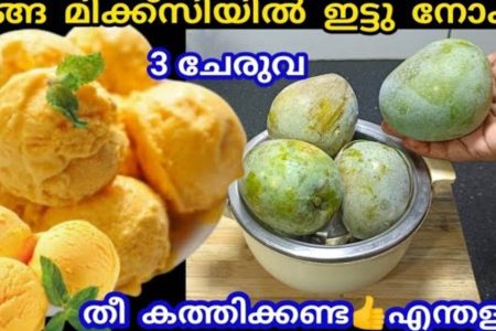 മാങ്ങ മിക്ക്സിയിൽ ഇതുപോലെ ചെയ്തു നോക്കൂ തീ പോലും കത്തിക്കണ്ട എന്തളുപ്പം.! | Mango Ice Cream At Home