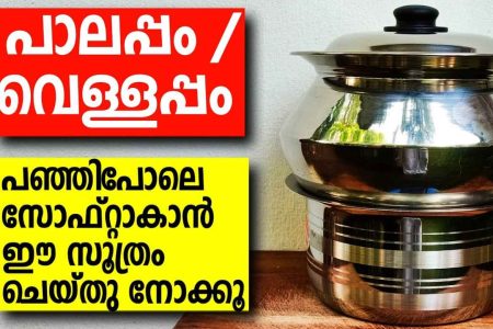 പൂ പോലെ സോഫ്റ്റായ പാലപ്പം ഉണ്ടാക്കണോ? ഇതാ പണ്ടത്തെ അമ്മച്ചിമാരുടെ സൂത്രം.! | Easy Soft Palappam Recipe