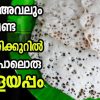 vellayappam