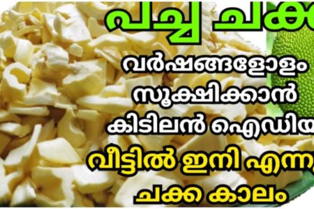 ഇനി വര്ഷങ്ങളോളം ചക്ക സൂക്ഷിക്കാം.!! യൂട്യൂബിലെ വൈറൽ ട്രിക്ക് ഇതാണ്.!! | Chakka Storage Idea Malayalam