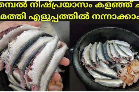 എത്ര കിലോ മത്തിയും വെറും 2 മിനിറ്റിൽ ഈസിയായി വൃത്തിയാക്കാം ഈ ഒരു സൂത്രം മാത്രം മതി.! | Fish Cleaning Tips Viral