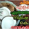 coconut grating
