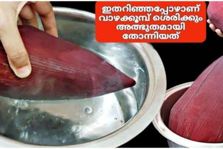 വാഴക്കൂമ്പ് വീട്ടിൽ ഉണ്ടായിട്ടും ഇങ്ങനെ ചെയ്തു നോക്കാൻ തോന്നിയത് ഇപ്പോഴാണ്.! | Vaazhakoombu Easy Recipe Malayalam