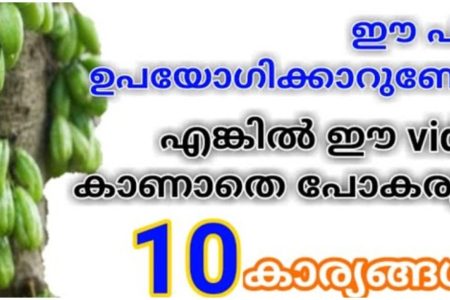 ഇരുമ്പൻ പുളിയുണ്ടോ? ഇനി വീട് ക്ലീൻ ചെയ്യാൻ എന്തെളുപ്പം.!!കിടിലൻ ഐഡിയ.!! | Irumban Puli Home Cleaning Idea