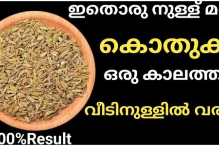 ഇത് ഒരു നുള്ള് മതി കൊതുക് വീടിന്റെ പരിസരത്ത് പോലും വരില്ല; | Powerful Natural Mosquito Repellent.