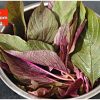 cheera recipe