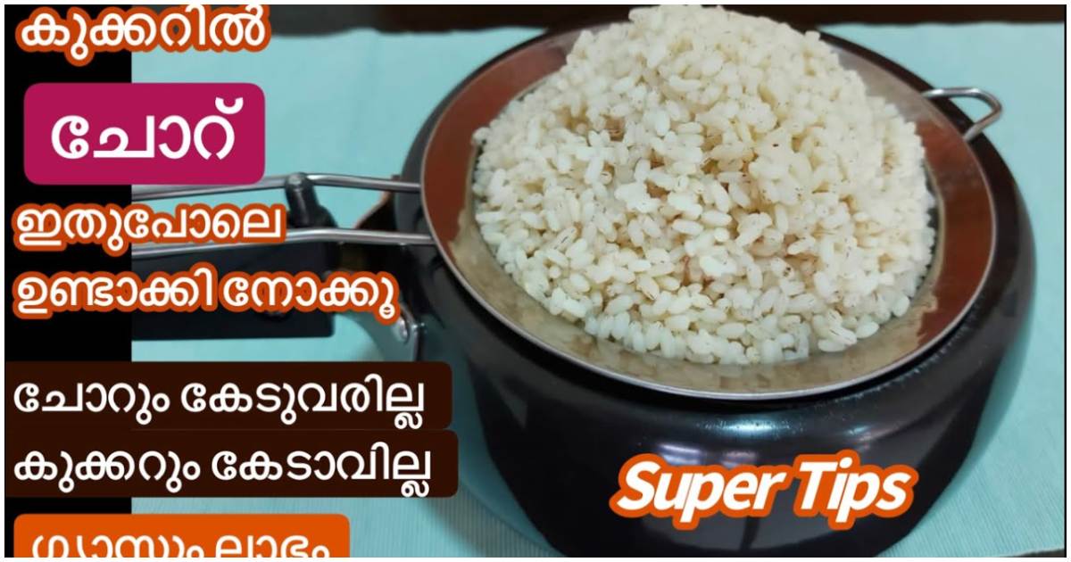 cooker rice
