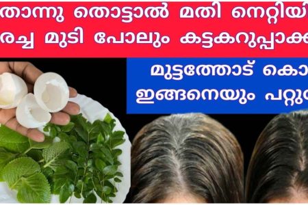 മുടി കറുപ്പിക്കാൻ കെമിക്കൽ ഇല്ലാത്ത ഹെയർ ഡൈ വീട്ടിൽ തന്നെ തയ്യാറാക്കാം! | Hair Dye Home Made Viral