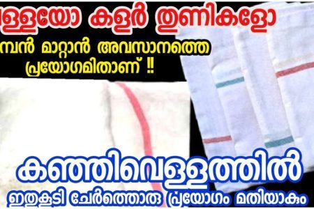തുണികളിലെ കരിമ്പൻ കളയാൻ ഇതിലും പറ്റിയ മാർഗം വേറെയില്ല.!! | How To Remove karimban from cloths
