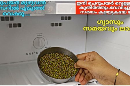 ചെറുപയർ ഫ്രീസറിൽ എടുത്ത് വെക്കൂ,ഗ്യാസും സമയവും ലാഭം.!! | Easy Kitchen Tips Malayalam