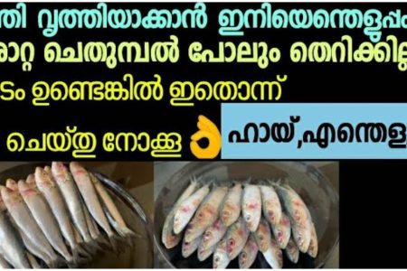മത്തി വൃത്തിയാക്കാൻ ഇനി എന്തെളുപ്പം; ഇനി ഇങ്ങനെ ഒന്ന് ചെയ്തു നോക്കൂ.!! | Fish Cleaning Easy Tips