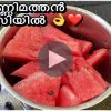 thannimathan recipe