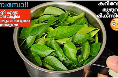 കറിവേപ്പില ഒരുപാട് ഉണ്ടായിട്ടും ഇങ്ങനെ ചെയ്തു നോക്കിയത് ആദ്യമായാണ്.!! | Kariveppila Using Tips