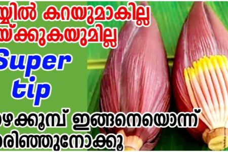 കൈയിൽ കറയാകുമെന്ന് പേടിച്ച് ഇനി വാഴക്കൂമ്പ് കറിവെക്കാതിരിയ്‌ക്കേണ്ട.!! |How to clean Banana flower