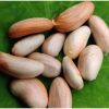 jackfruit seed achar (2)