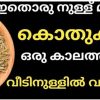 Easy Way To Mosquito Repellent (1)