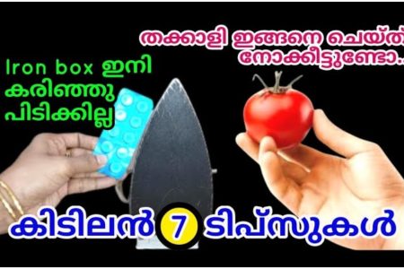 വീട്ടിൽ ഉപ്പ് ഉണ്ടോ.? ഫ്രിഡ്ജില്ലാതെയും തക്കാളി കേടാകാതെ നീണ്ടനാൾ സൂക്ഷിയ്ക്കാം.!! | Tip To Store Tomato For Long