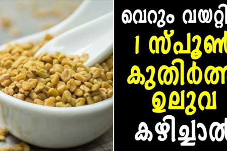 ഉലുവ ഇത്രക്ക് ഭീകരൻ ആയിരുന്നോ!? രാവിലെ വെറും വയറ്റില്‍ ഒരു സ്‌പൂൺ കുതിര്‍ത്ത ഉലുവ; ശരീരത്തിൽ സംഭവിക്കുന്നത് അത്ഭുത മാറ്റങ്ങൾ.!! | Uluva Health Benefits