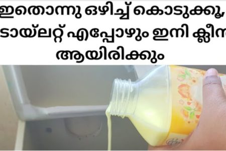 ടോയ്ലറ്റ് എപ്പോഴും ക്ലീൻ ആയിരിക്കാൻ ഇതാ ഒരു സൂത്രം.!! എളുപ്പത്തിൽ ഇതൊന്നു മാത്രം മതി.. ക്ലീൻ ആവാനും ഫ്രഷ് ആയിരിക്കാനും.!! | Make Toilet Freshner