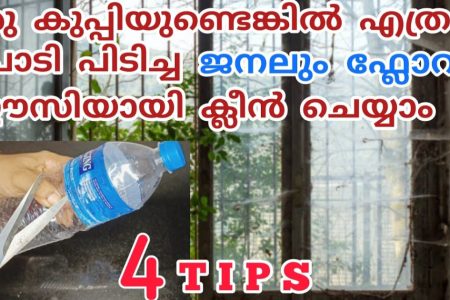 ഒരു കുപ്പിയുണ്ടെങ്കിൽ പൊടിപിടിച്ച ജനലും ഫ്ലോറും ഈസിയായി ക്ലീൻ ചെയ്യാം.!! | Podi Kalayan Easy Kuppi Tip