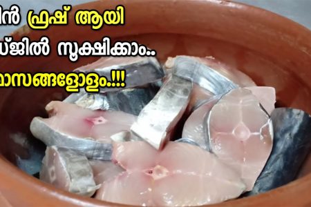 മീൻ ഫ്രഷ് ആയി മാസങ്ങളോളം സൂക്ഷിക്കാം.!! ഇങ്ങനെ മാത്രം ചെയ്‌താൽ മതി.. | Tip To Store Fish In Freezer