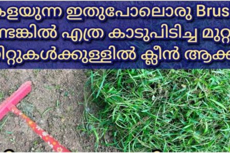 ഇനി ഈ ബ്രെഷ് കളയണ്ട.! കെമിക്കൽ ഇല്ലാതെ കാടുപിടിച്ച മുറ്റം ക്ലീൻ ആക്കാം.!! | Easy Cleaning Tips