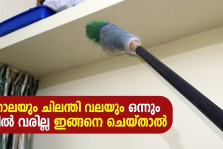 മാറാലയും ചിലന്തി വലയും ഒന്നും ഇനി വീട്ടിൽ വരില്ല.. കാണാതെ പോയാൽ നഷ്ടം തന്നെ.!! | Maralayum chilandhiyum Povan Tip