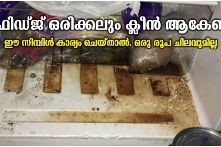 ഫ്രിഡ്ജ് ഒരിക്കലും ക്ലീൻ ആകേണ്ട ഈ സിമ്പിൾ കാര്യം ചെയ്‌താൽ. ഒരു രൂപ ചിലവുമില്ല.!! | Fridge Cleaning ips
