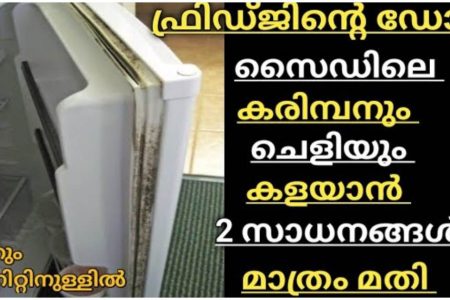 ഫ്രിഡ്ജിന്റ ഡോർ സൈഡിലെ കരിമ്പനും കറുത്തപാടുകളും കളയാൻ ഇത്ര എളുപ്പമോ.!! വെറും ‘5’ മിനിറ്റിൽ നിസ്സാരമായി ക്ലീൻ ആക്കാം.. | Fridge Door Side Cleaning Tips