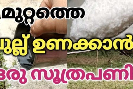 ഇതൊരു തുള്ളി തളിച്ചാൽ മതി.!! മുറ്റത്ത് കാടുപിടിച്ചു കിടക്കുന്ന പുല്ല് ഠപ്പേന്ന് ഉണങ്ങും.. പുല്ല് പെട്ടെന്ന് ഉണക്കാൻ ഒരു കിടിലൻ സൂത്രം!! | To Remove Weeds