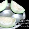 Raw Papaya Tips