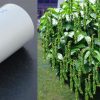 Kurumulaku-Krishi-Tips-Using-PVC-Pipe