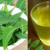 Neem Leaves Water Health Benefits