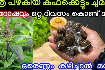 എത്ര പഴകിയ കഫക്കെട്ടും പനിയും ചുമയും ഒറ്റ ദിവസത്തിൽ പമ്പകടക്കും; മുഴുവൻ കഫം ഇളക്കി കളഞ്ഞ് ശ്വാസകോശം വൃത്തിയാക്കും ഒറ്റമൂലി.!! ഇതൊരെണ്ണം കഴിച്ചാൽ ഒറ്റ മിനിറ്റിൽ ശാശ്വത പരിഹാരം; | Thulsi Balls To Reduce Fever