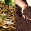 To-Make-Compost-Easliy