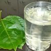 Passion Fruit Leaves Healthy Benefits