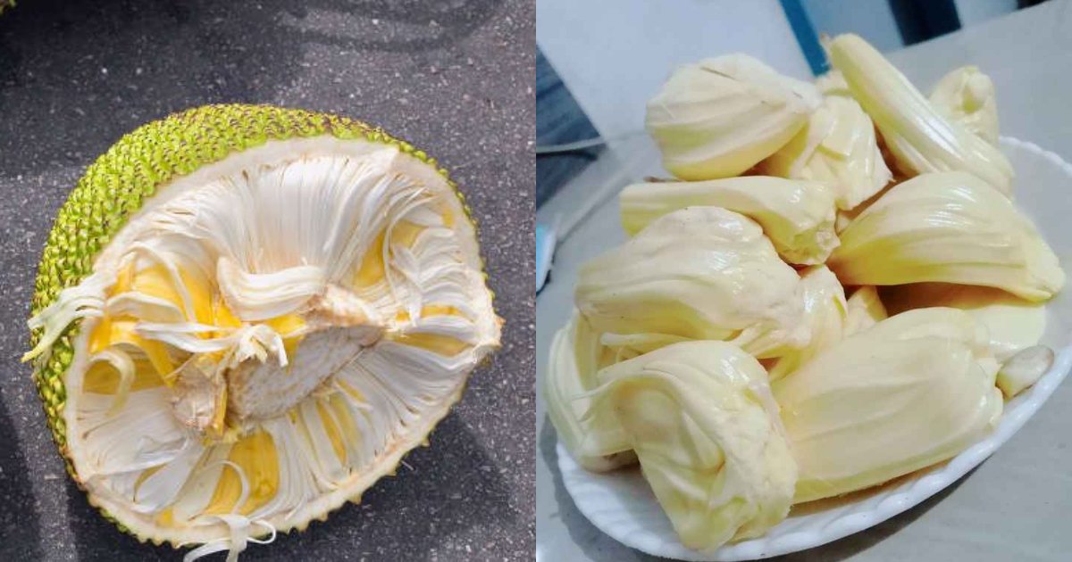 Tip To Store Jackfruit Fresh For Long
