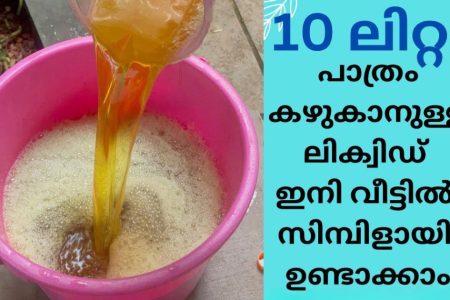വെറും 10 രൂപ ചിലവിൽ.!! ഒരു വർഷത്തേക്ക് പാത്രം കഴുകാനുള്ള ലിക്വിഡ് വീട്ടിൽ ഉണ്ടാക്കാം; വെറും 5 മിനിറ്റിൽ.. ഇതറിയാതെ എത്ര പൈസ വെറുതെ കളഞ്ഞു.!! | To Make Dishwash Liquid