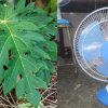 To Reduce Room Temperature Without AC