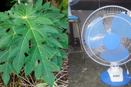 അനുഭവിച്ചറിഞ്ഞ സത്യം.!! ഇനി Ac വേണ്ടാ; ഈ കടുത്ത ചൂടിലും തണുത്ത് വിറച്ചു കിടന്നുറങ്ങാം.!! ഇത്രയും റിസൾട്ട് കിട്ടുന്ന വിദ്യ വേറെ ഉണ്ടാകില്ല.. | To Reduce Room Temperature Without AC