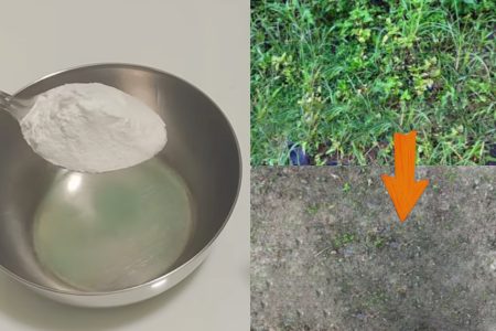 അരിപ്പൊടി കൊണ്ട് ഈ സൂത്രം ചെയ്യൂ.!! മുറ്റത്ത് കാടുപിടിച്ചു കിടക്കുന്ന പുല്ല് ഒറ്റ സെക്കൻഡിൽ ഠപ്പേന്ന് ഉണങ്ങും; കണ്ടു നോക്കൂ ശെരിക്കും ഞെട്ടും നിങ്ങ.. | To Remove Weeds Using Rice Flour