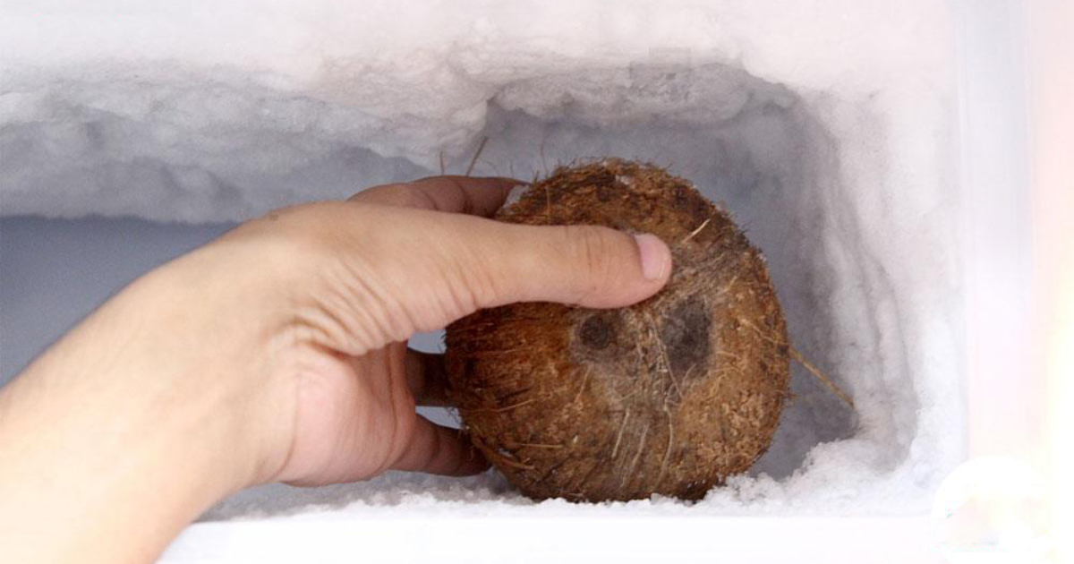 Freezeril Thenga Vechal Tip