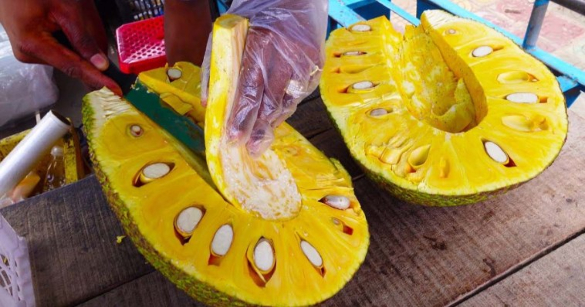 Jackfruit Cutting Easy Tricks